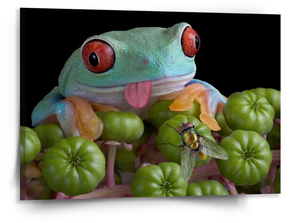 Sablio Obraz Veselá žába - 150x110 cm