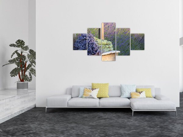Obraz - Levandulové svazky (125x70 cm)