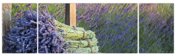 Obraz - Levandulové svazky (170x50 cm)