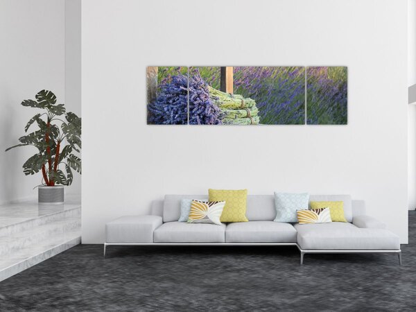 Obraz - Levandulové svazky (170x50 cm)