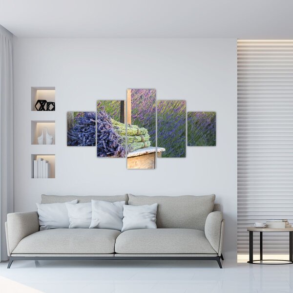 Obraz - Levandulové svazky (125x70 cm)