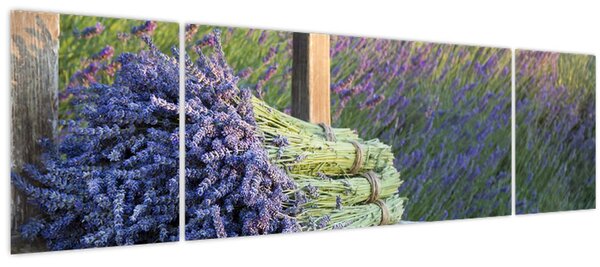 Obraz - Levandulové svazky (170x50 cm)