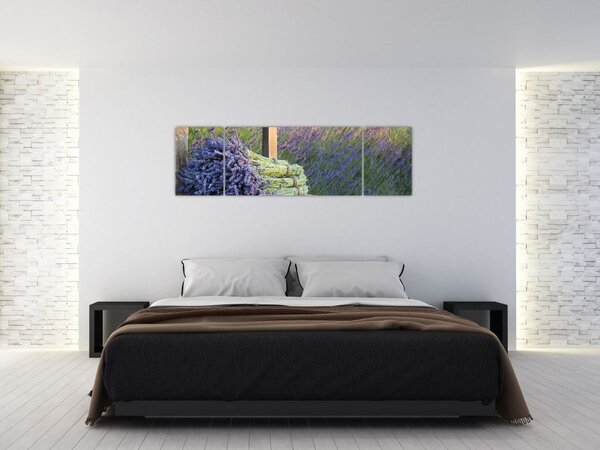 Obraz - Levandulové svazky (170x50 cm)