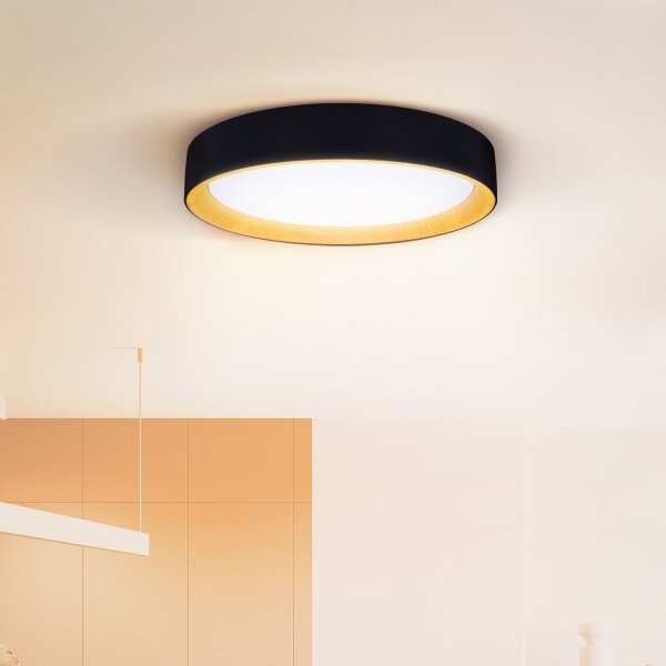 Brilagi-LED Stmívatelné svítidlo LARIOS LED/48W/230V 3000-6500K pr. 39 cm černá+DO