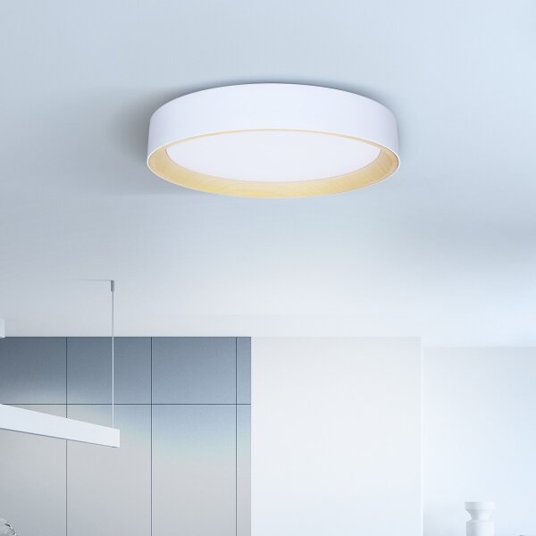 Brilagi -LED Stmívatelné svítidlo LARIOS LED/48W/230V 3000-6500K pr. 39 cm bílá+DO