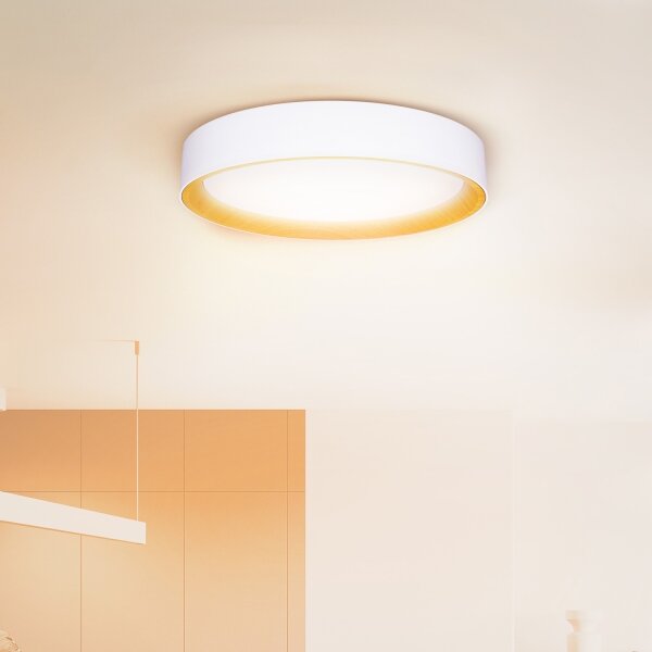Brilagi -LED Stmívatelné svítidlo LARIOS LED/48W/230V 3000-6500K pr. 39 cm bílá+DO