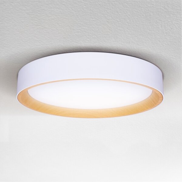Brilagi -LED Stmívatelné svítidlo LARIOS LED/48W/230V 3000-6500K pr. 39 cm bílá+DO