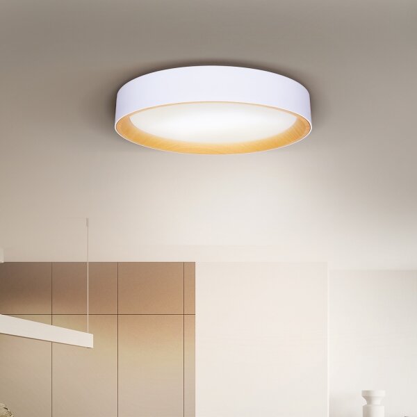 Brilagi -LED Stmívatelné svítidlo LARIOS LED/48W/230V 3000-6500K pr. 39 cm bílá+DO