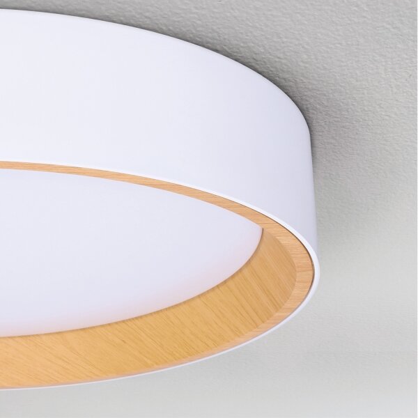Brilagi -LED Stmívatelné svítidlo LARIOS LED/48W/230V 3000-6500K pr. 39 cm bílá+DO