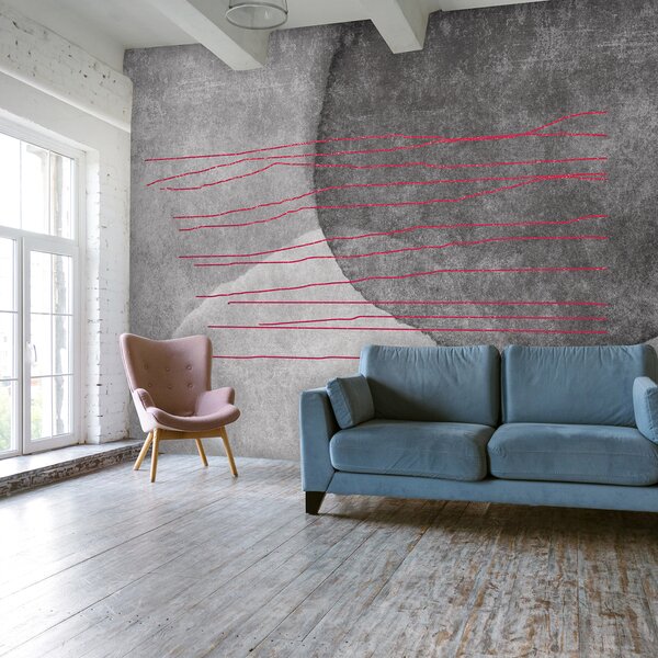 Fototapeta Černobílý obraz s červenými liniemi, Designové fototapety na zeď, Populární fototapety, u78579v2 - Tapeko.co.cz