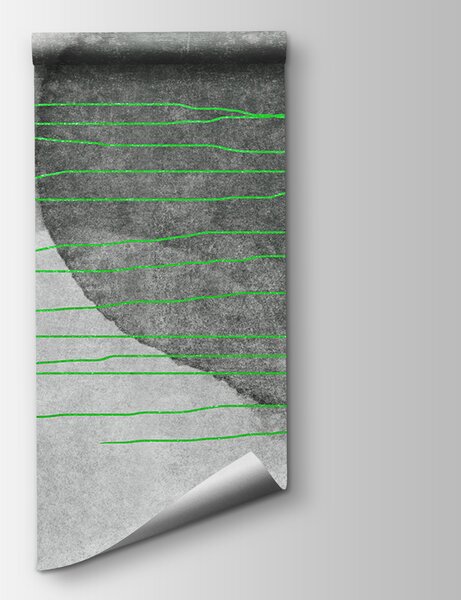 Fototapeta Šedé a bílé pozadí se zelenými linkami, Designové fototapety na zeď, Populární fototapety, u78579v3 - Tapeko.co.cz