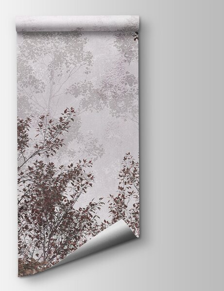 Fototapeta Skupina stromů s červenými listy, Fototapety s mlžným lesem, Populární fototapety, u78594v1 - Tapeko.co.cz