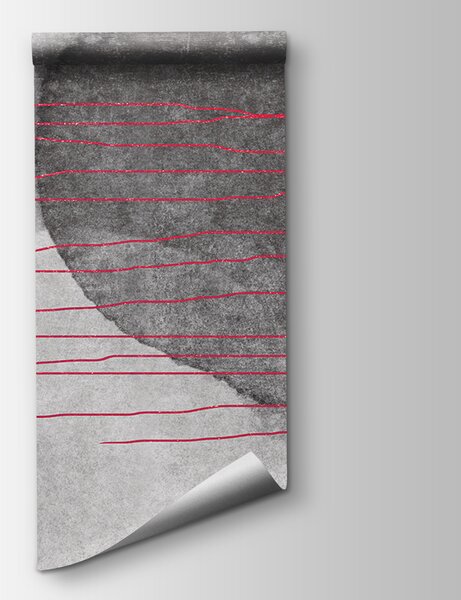 Fototapeta Černobílý obraz s červenými liniemi, Designové fototapety na zeď, Populární fototapety, u78579v2 - Tapeko.co.cz