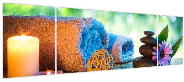 Obraz - Relaxační masérský obraz (170x50 cm)