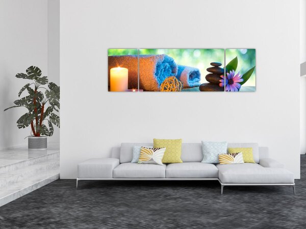 Obraz - Relaxační masérský obraz (170x50 cm)