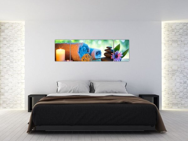 Obraz - Relaxační masérský obraz (170x50 cm)