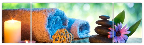 Obraz - Relaxační masérský obraz (170x50 cm)
