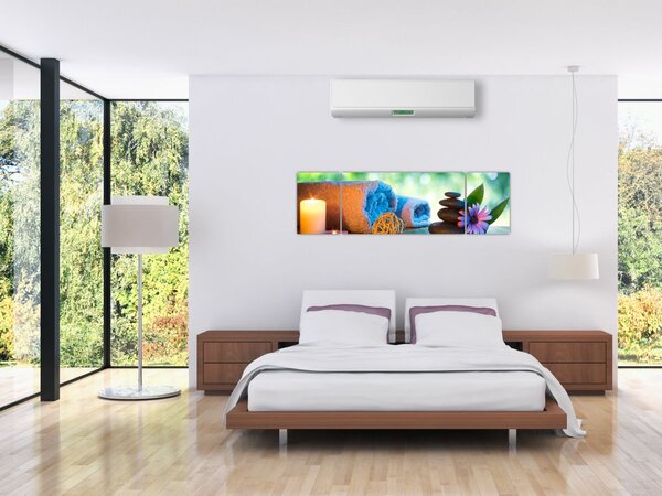 Obraz - Relaxační masérský obraz (170x50 cm)