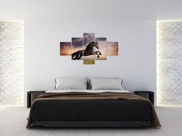 Obraz - Koně (125x70 cm)