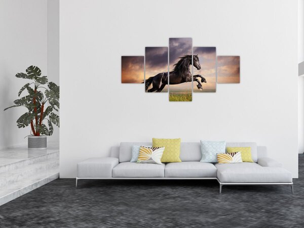 Obraz - Koně (125x70 cm)
