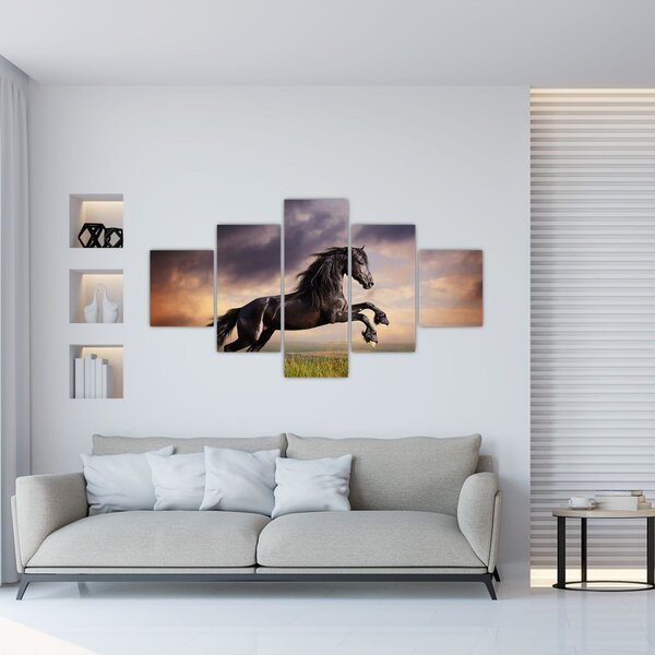 Obraz - Koně (125x70 cm)