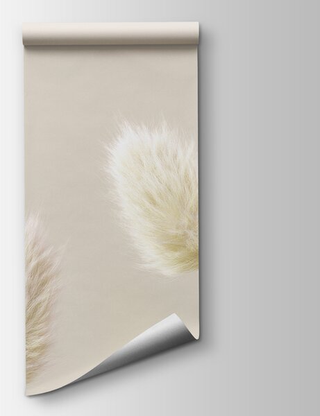 Fototapeta Skupina bílých nadýchaných květů, Přírodní fototapety, Populární fototapety, u98432v1 - Tapeko.co.cz