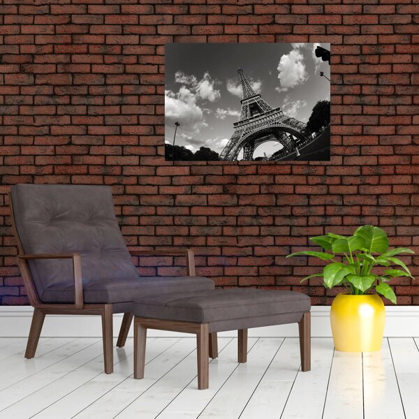 Obraz - Eiffelova věž v Paříži (70x50 cm)