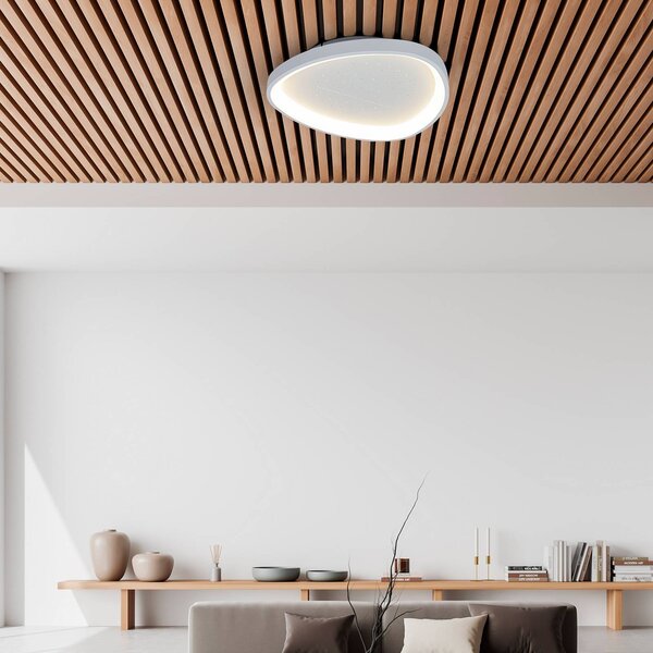 Näve LED stropní svítidlo Argesa Ø 60,5 cm, bílé, dálkové ovládání, stmívatelný, Bílá / opál, Obývací pokoj / jídelna, kov, Moderní