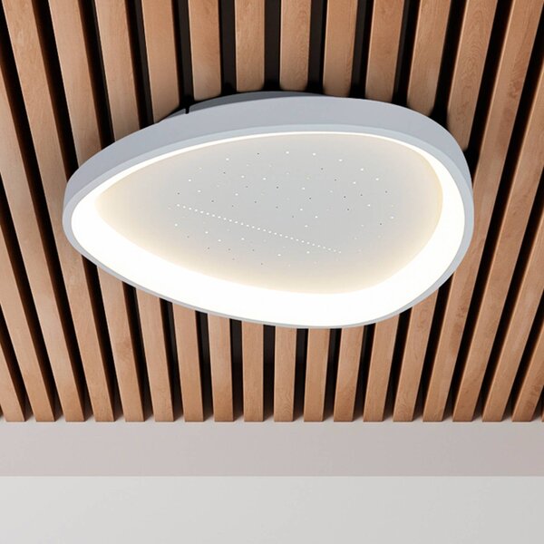 Näve LED stropní svítidlo Argesa Ø 60,5 cm, bílé, dálkové ovládání, stmívatelný, Bílá / opál, Obývací pokoj / jídelna, kov, Moderní