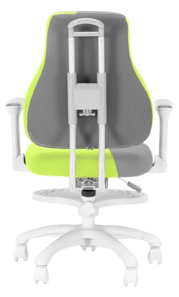 Dětská rostoucí židle Neoseat KINDER WHITE PLUS — látka, šedá / zelená