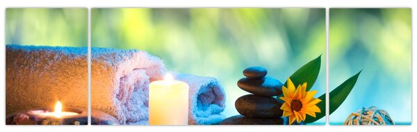 Obraz - Relaxace (170x50 cm)