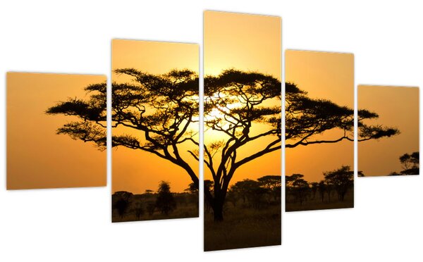 Obraz - Africká savana (125x70 cm)