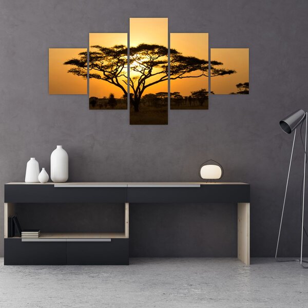 Obraz - Africká savana (125x70 cm)