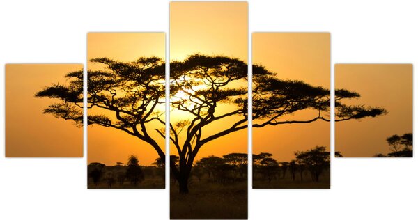 Obraz - Africká savana (125x70 cm)