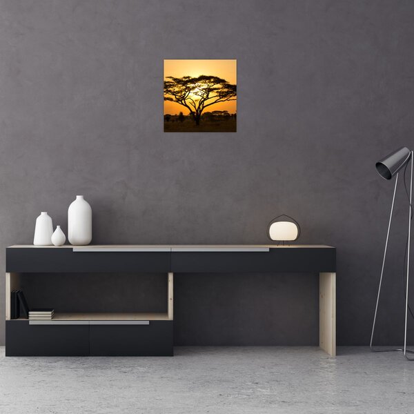 Obraz - Africká savana (30x30 cm)
