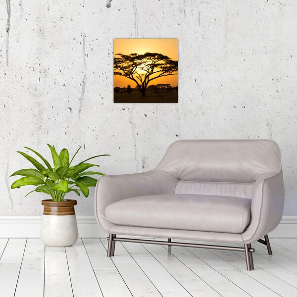 Obraz - Africká savana (30x30 cm)