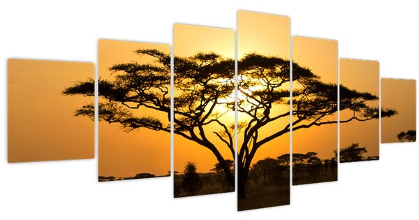 Obraz - Africká savana (210x100 cm)