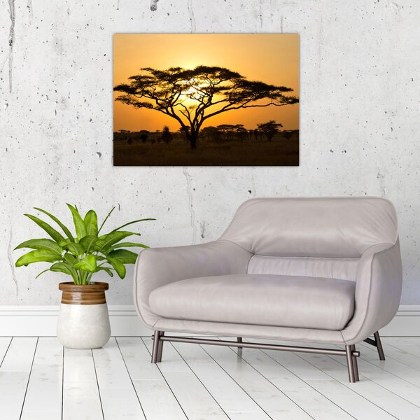 Obraz - Africká savana (70x50 cm)