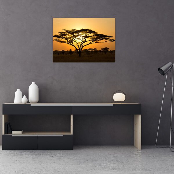 Obraz - Africká savana (70x50 cm)