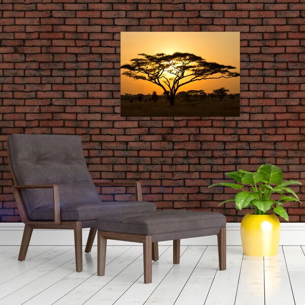 Obraz - Africká savana (70x50 cm)