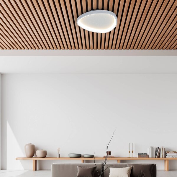 Näve LED stropní svítidlo Argesa, Ø 42 cm, bílé, dálkové ovládání, stmívatelný, Bílá / opál, Obývací pokoj / jídelna, kov, Moderní