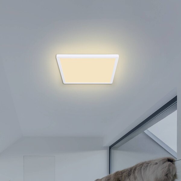 Globo LED stropní světlo Sapana, hranaté, stmívací, bílá, stmívatelný, Bílá / opál, Obývací pokoj / jídelna, Plast, Moderní