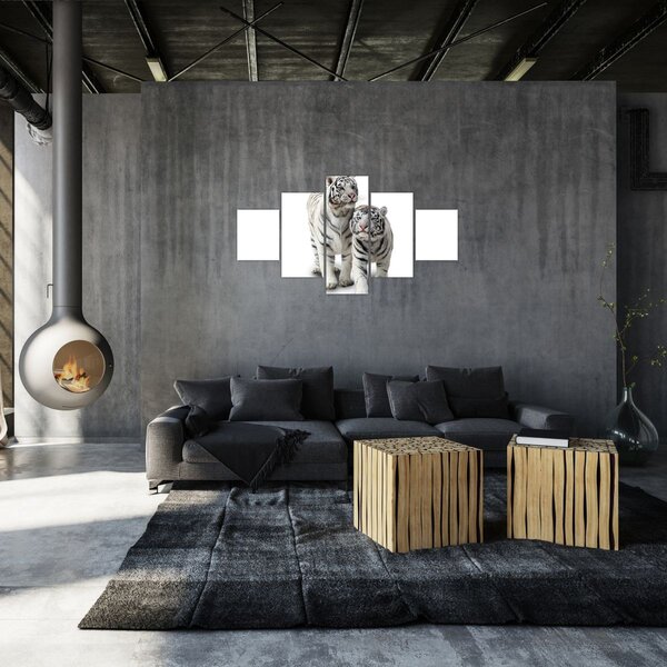 Obraz - Bilý tygr (125x70 cm)