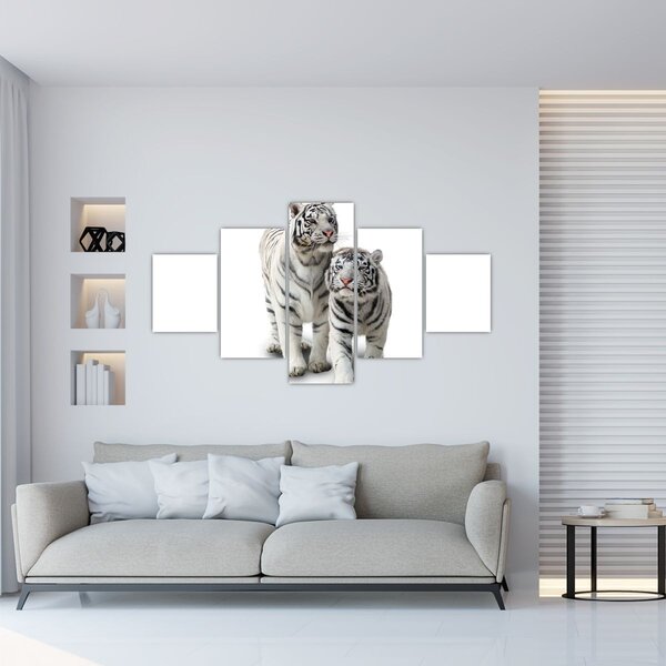 Obraz - Bilý tygr (125x70 cm)