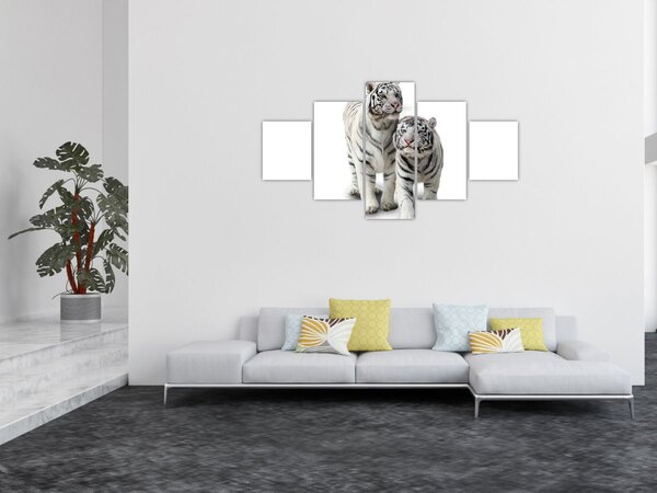 Obraz - Bilý tygr (125x70 cm)