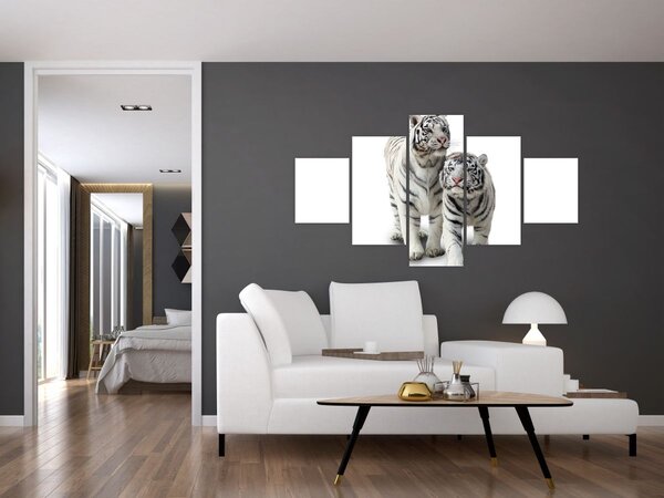 Obraz - Bilý tygr (125x70 cm)
