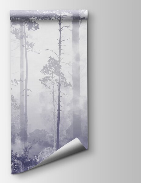 Fototapeta Mlžný les s vysokými stromy, Fototapety s mlžným lesem, Populární fototapety, u94439v4 - Tapeko.co.cz