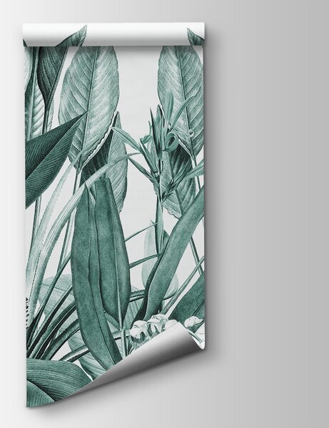 Fototapeta Tropická zeleň v harmonické zelené barvě, Fototapety s džunglí, Populární fototapety, u96833v3 - Tapeko.co.cz