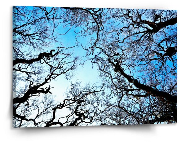 Sablio Obraz Holé větve - 150x110 cm