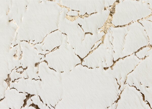 Koupelnová předložka RABBIT SHINE ivory/zlatá, 50x80 cm